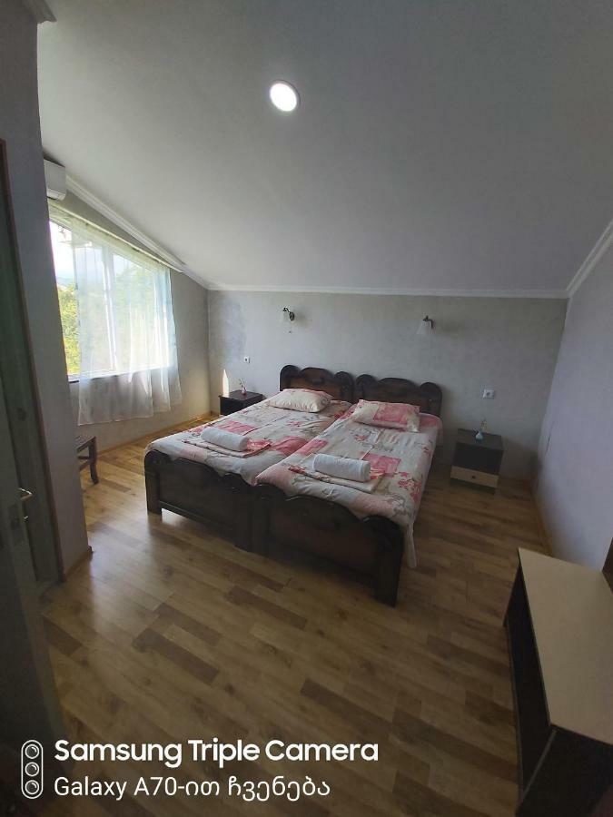 Martvili Newhotel Bagian luar foto